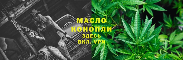 крисы Липки