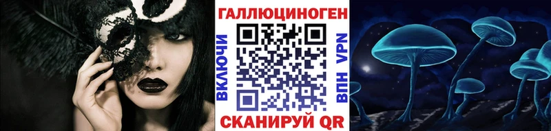 Купить  Анива  Галлюциногенные грибы GOLDEN TEACHER 